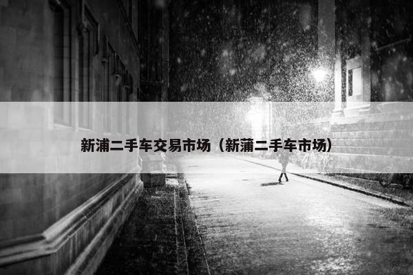 新浦二手车交易市场（新蒲二手车市场）