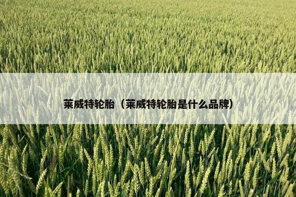 莱威特轮胎（莱威特轮胎是什么品牌）
