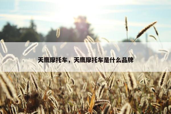 天鹰摩托车，天鹰摩托车是什么品牌