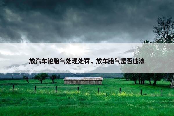 放汽车轮胎气处理处罚，放车胎气是否违法