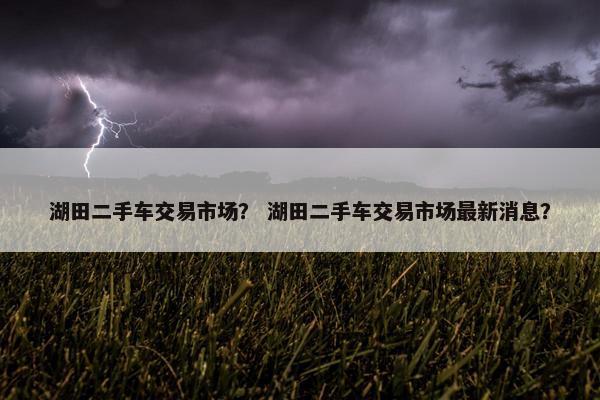 湖田二手车交易市场？ 湖田二手车交易市场最新消息？