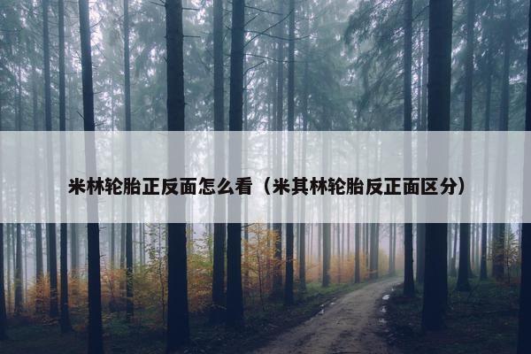 米林轮胎正反面怎么看（米其林轮胎反正面区分）