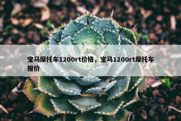 宝马摩托车1200rt价格，宝马1200rt摩托车报价