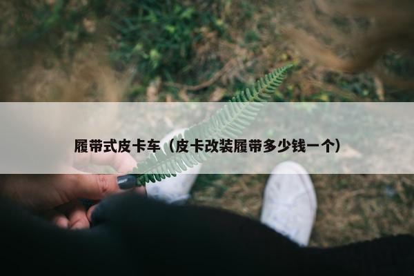 履带式皮卡车（皮卡改装履带多少钱一个）