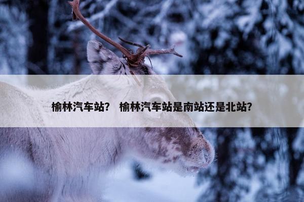 榆林汽车站？ 榆林汽车站是南站还是北站？