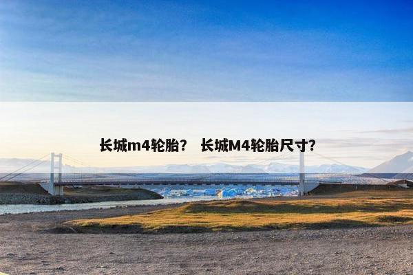 长城m4轮胎？ 长城M4轮胎尺寸？