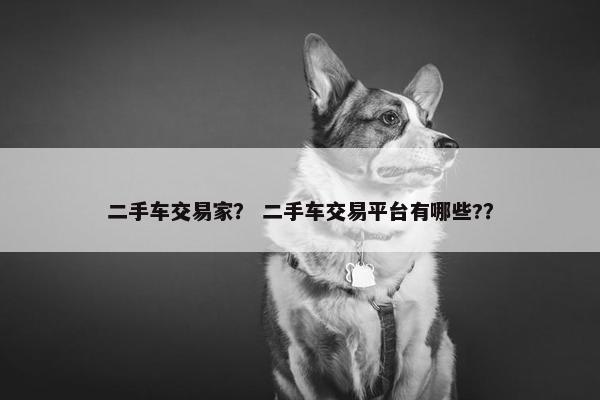 二手车交易家？ 二手车交易平台有哪些?？