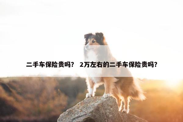 二手车保险贵吗？ 2万左右的二手车保险贵吗？
