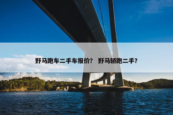 野马跑车二手车报价？ 野马轿跑二手？