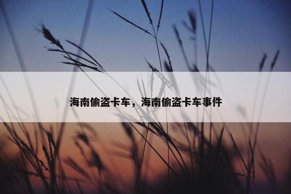 海南偷盗卡车，海南偷盗卡车事件