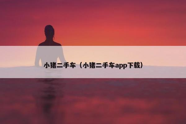 小猪二手车（小猪二手车app下载）