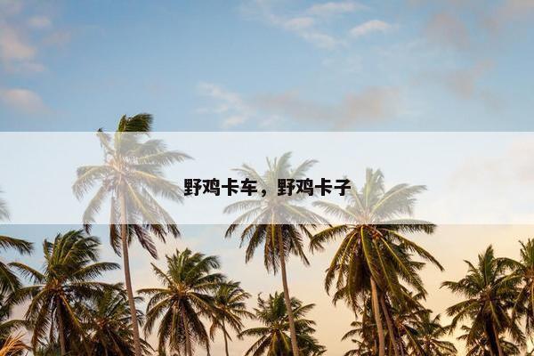 野鸡卡车，野鸡卡子