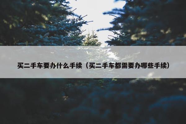 买二手车要办什么手续（买二手车都需要办哪些手续）