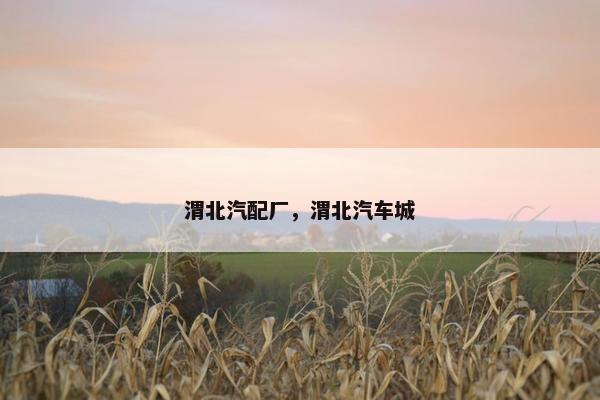 渭北汽配厂，渭北汽车城