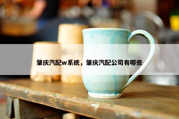 肇庆汽配w系统，肇庆汽配公司有哪些