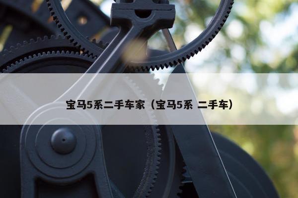 宝马5系二手车家（宝马5系 二手车）