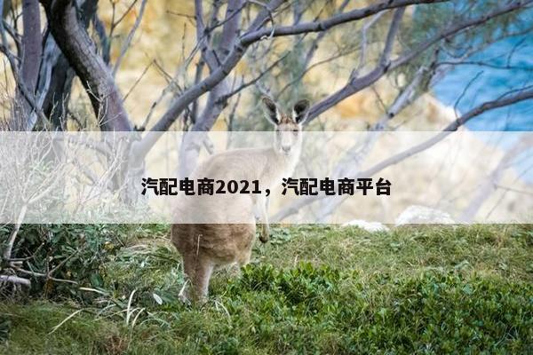 汽配电商2021，汽配电商平台