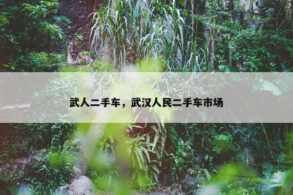 武人二手车，武汉人民二手车市场