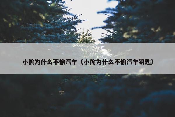 小偷为什么不偷汽车（小偷为什么不偷汽车钥匙）