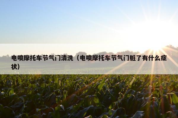 电喷摩托车节气门清洗（电喷摩托车节气门脏了有什么症状）