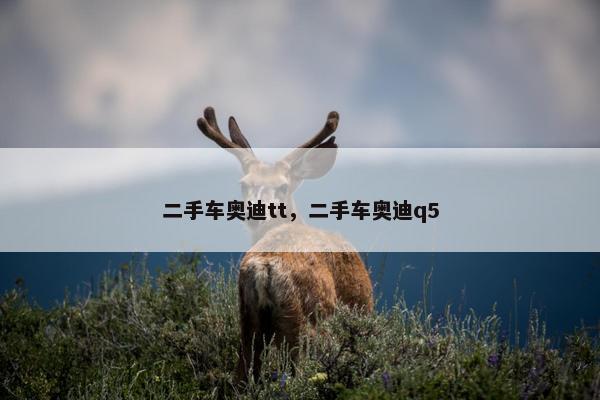 二手车奥迪tt，二手车奥迪q5