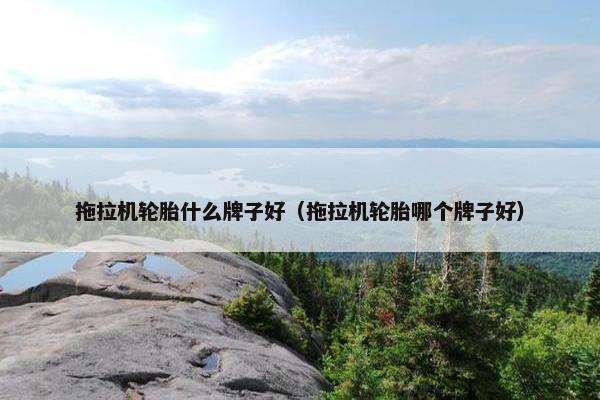 拖拉机轮胎什么牌子好（拖拉机轮胎哪个牌子好）