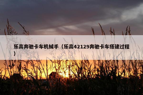 乐高奔驰卡车机械手（乐高42129奔驰卡车搭建过程）