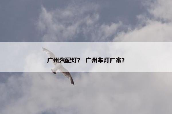 广州汽配灯？ 广州车灯厂家？
