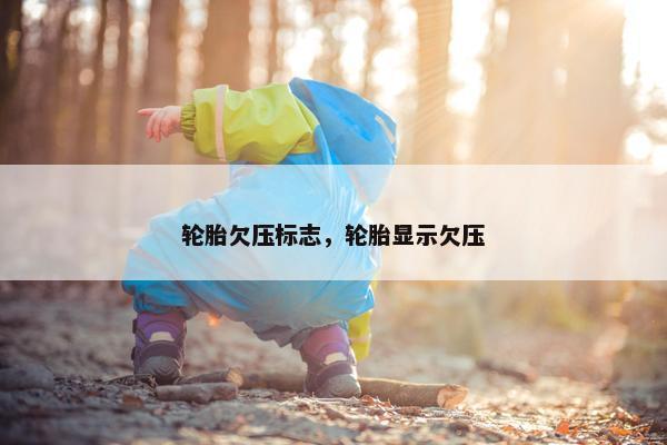 轮胎欠压标志，轮胎显示欠压