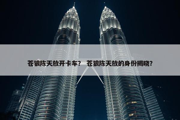 苍狼陈天放开卡车？ 苍狼陈天放的身份揭晓？