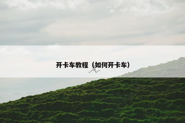 开卡车教程（如何开卡车）