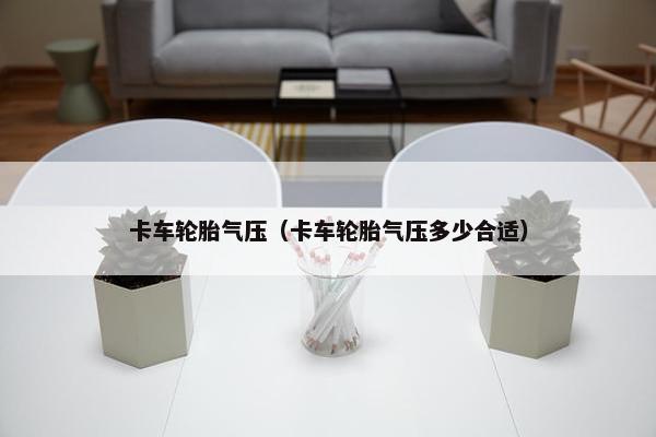 卡车轮胎气压（卡车轮胎气压多少合适）