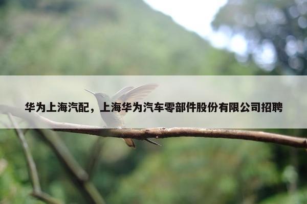 华为上海汽配，上海华为汽车零部件股份有限公司招聘