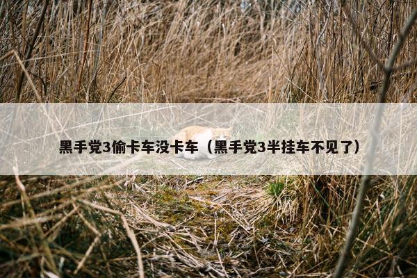 黑手党3偷卡车没卡车（黑手党3半挂车不见了）