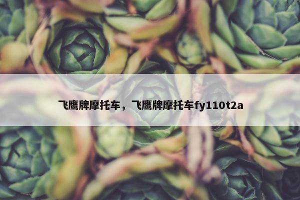 飞鹰牌摩托车，飞鹰牌摩托车fy110t2a