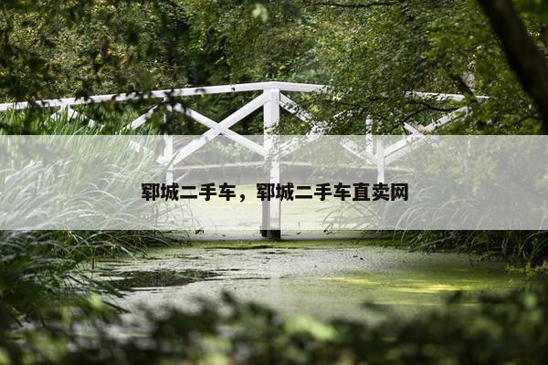 郓城二手车，郓城二手车直卖网