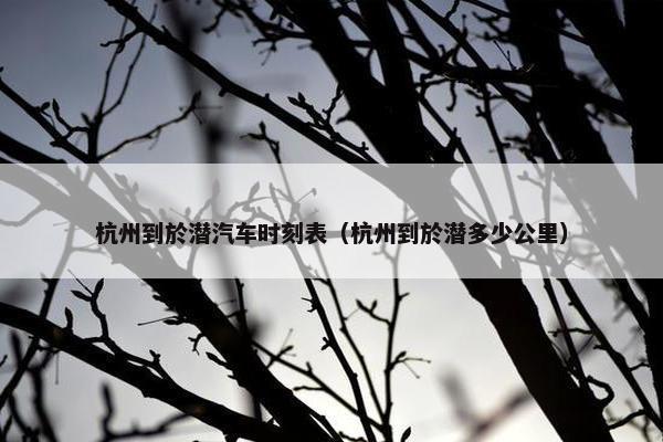 杭州到於潜汽车时刻表（杭州到於潜多少公里）