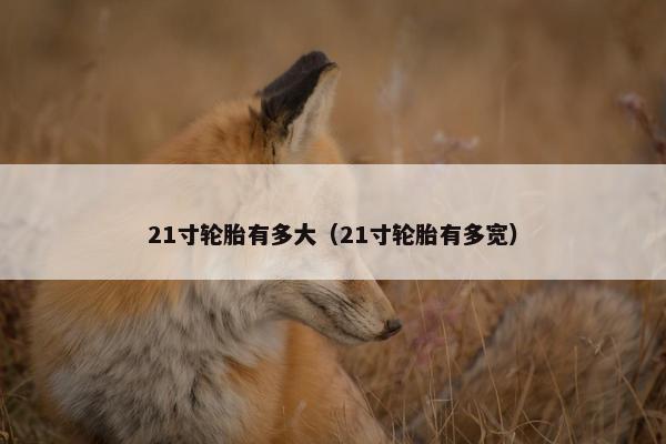21寸轮胎有多大（21寸轮胎有多宽）