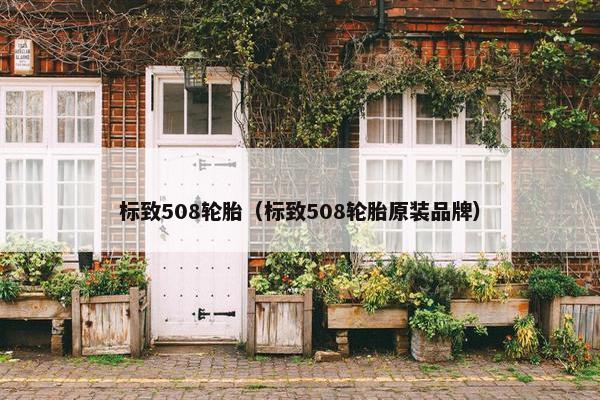 标致508轮胎（标致508轮胎原装品牌）