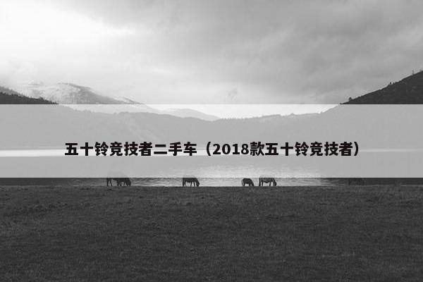 五十铃竞技者二手车（2018款五十铃竞技者）