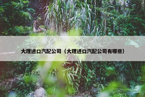 大理进口汽配公司（大理进口汽配公司有哪些）