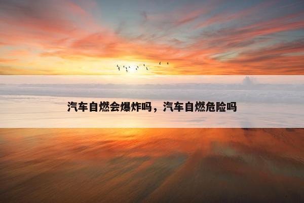 汽车自燃会爆炸吗，汽车自燃危险吗