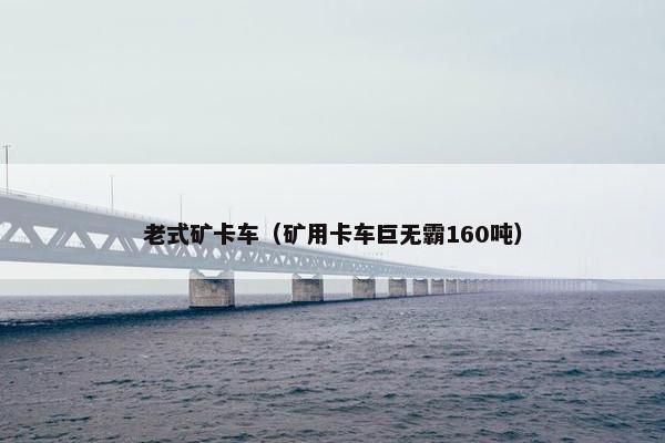 老式矿卡车（矿用卡车巨无霸160吨）