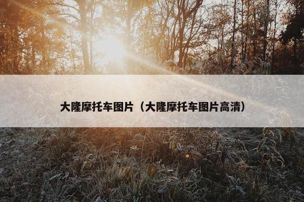 大隆摩托车图片（大隆摩托车图片高清）
