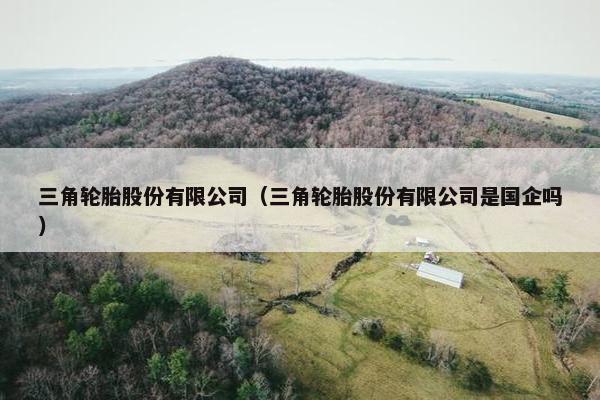 三角轮胎股份有限公司（三角轮胎股份有限公司是国企吗）