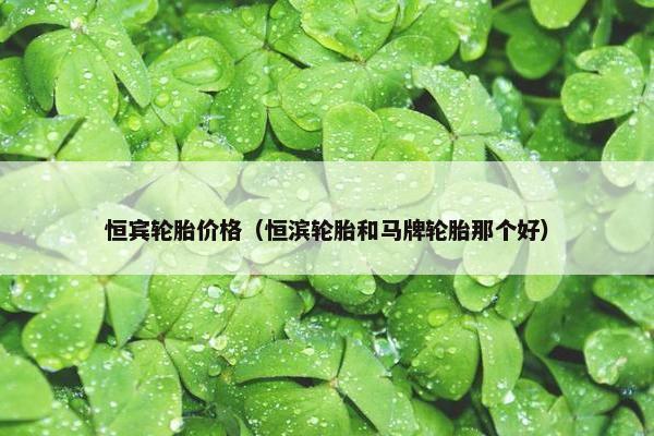 恒宾轮胎价格（恒滨轮胎和马牌轮胎那个好）