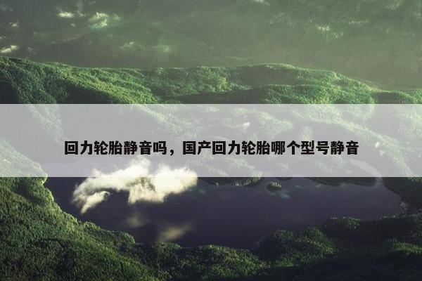 回力轮胎静音吗，国产回力轮胎哪个型号静音