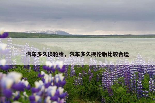 汽车多久换轮胎，汽车多久换轮胎比较合适