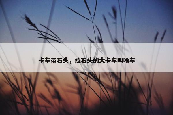卡车带石头，拉石头的大卡车叫啥车