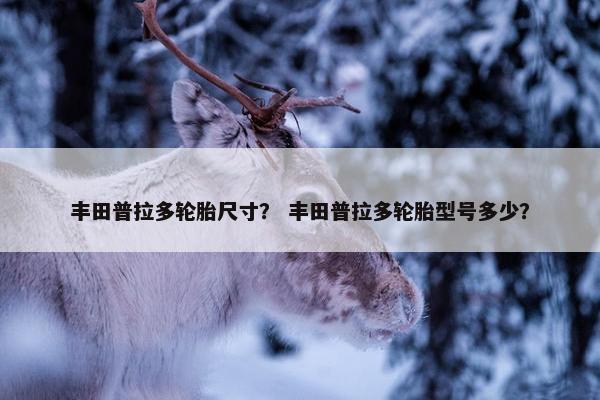 丰田普拉多轮胎尺寸？ 丰田普拉多轮胎型号多少？